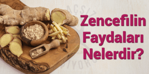 Zencefilin Faydaları Nelerdir? Zencefil Nelere İyi Gelir?